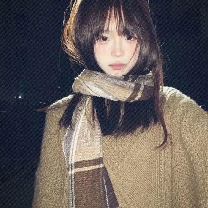 长安的荔枝